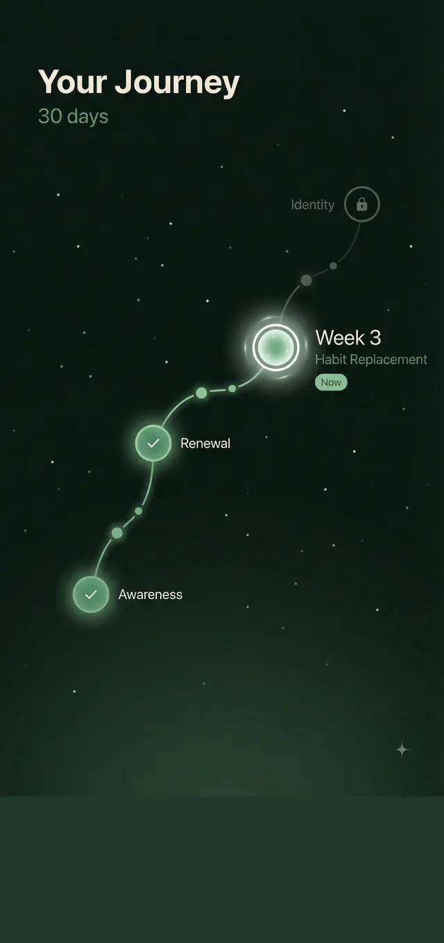 The guided journey screen, listing the days of the recovery path in order with the current day highlighted.